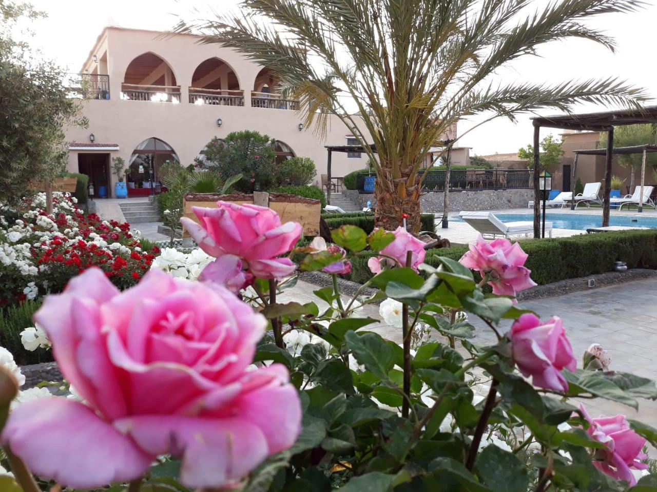 Taloute Ecolodge Skoura Buitenkant foto